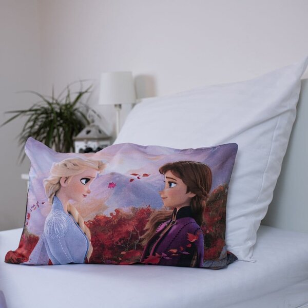 Памучно детско спално бельо 100x135 cm Frozen "Wind" – Jerry Fabrics