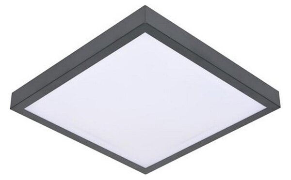 LED Плафон със сензор VITALI LED/24W/230V 4000K