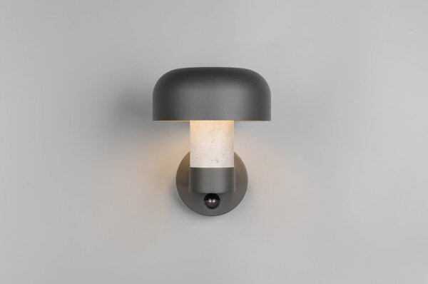 Стенно външно осветително тяло (височина 24,5 cm) Fraser – Trio