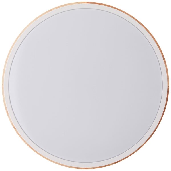 Brilliant - LED Димируем плафон BAARLO LED/24W/230V Ø 35 см бял