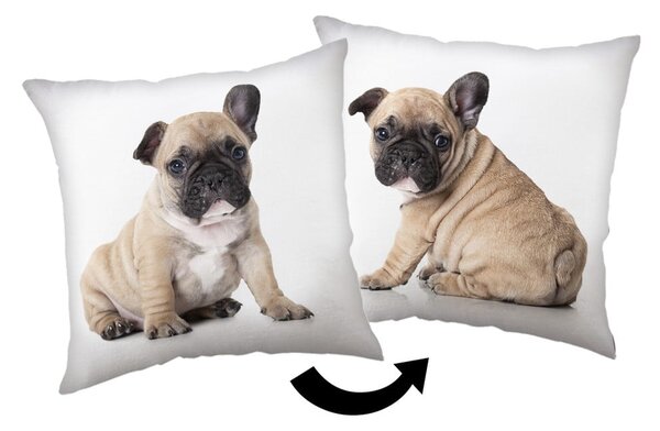 Детска възглавница 40x40 cm Bulldog – Jerry Fabrics