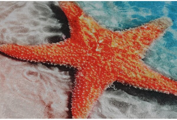 Килими за баня в комплект от 2 бр. 60x100 cm Stella – Foutastic