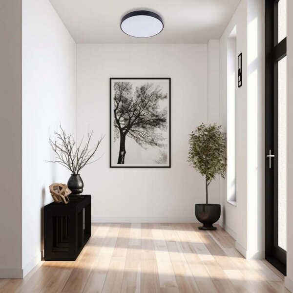LED Димируем плафон LED/30W/230V 3000-6500K Ø 30 см черен + д.у