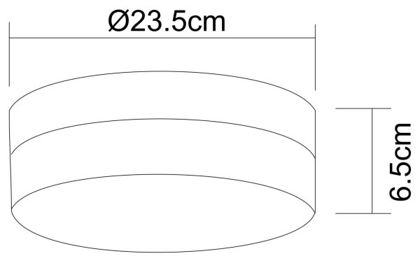 GLOBO 48402 - Лампа за таван OPAL 2xE27/40W