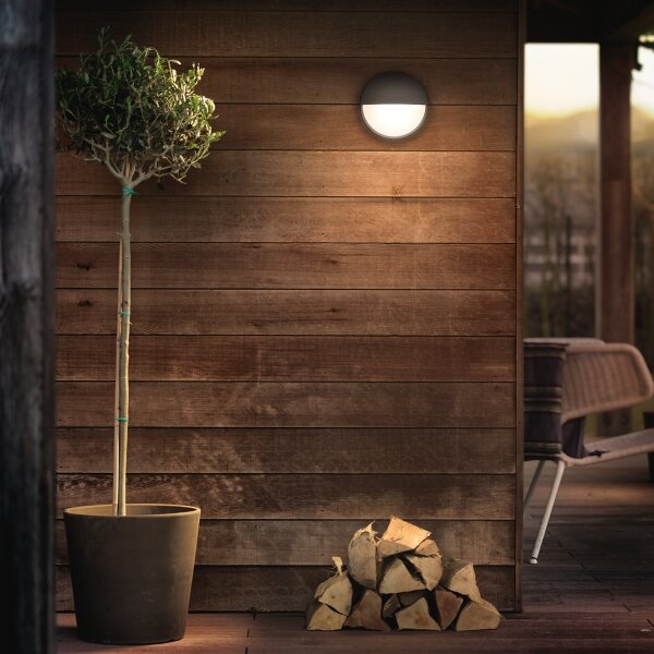 Philips 16455/93/16 - LED Екстериорен аплик CAPRICORN LED/6W IP44
