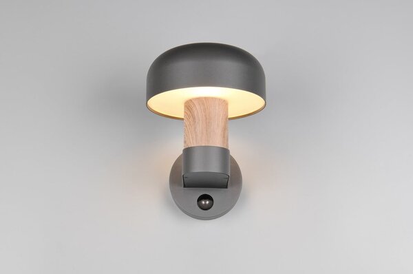 Стенно външно осветително тяло (височина 24,5 cm) Fraser – Trio