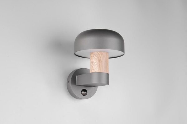 Стенно външно осветително тяло (височина 24,5 cm) Fraser – Trio