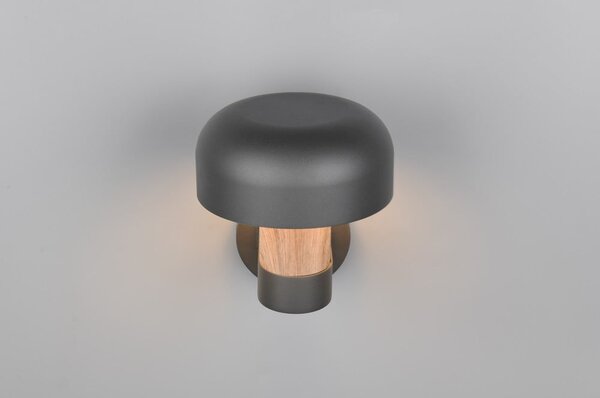 Стенно външно осветително тяло (височина 24,5 cm) Fraser – Trio