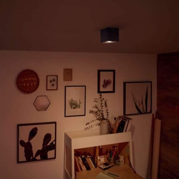 Philips 50491/30/P0 - димируемо LED осветително тяло MYLIVING BOX LED/4,5W/230V