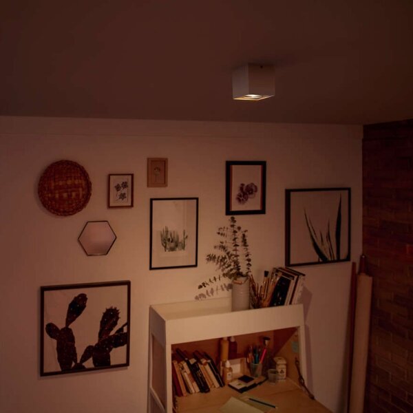 Philips 50491/31/P0-LED Димируемо точково осветително тяло MYLIVING BOX LED/4,5W/230V