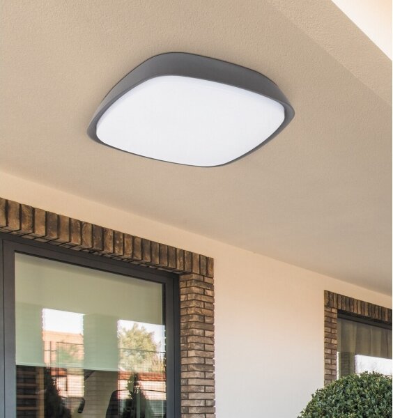 Rabalux 8797 - LED Екстериорна Лампа за таван AUSTIN LED/20W/230V IP65