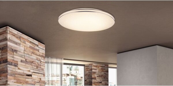GLOBO 483888-24 - LED таванно осветително тяло PIERRE LED/24W/230V