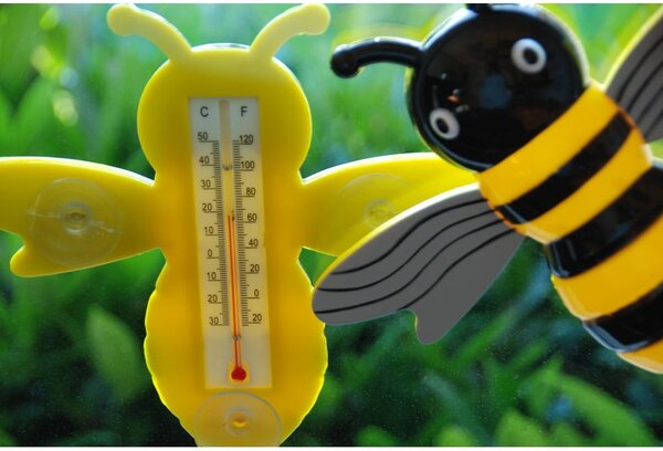 Външен термометър Bee – Esschert Design