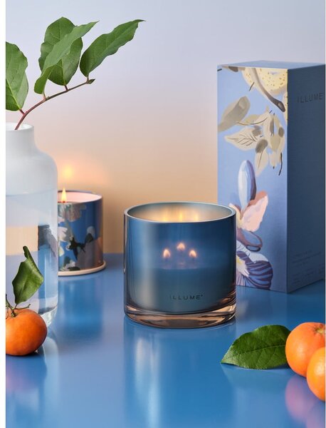 Ароматна свещ с време на горене 50 часа Citrus Crush – ILLUME x Bloomingville