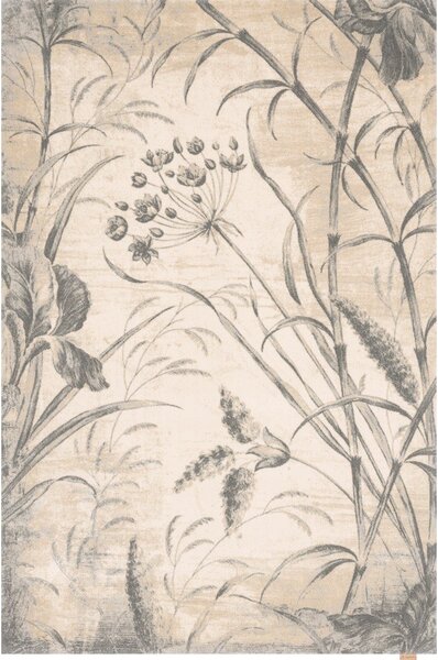 Кремав вълнен килим 300x400 cm Botany – Agnella