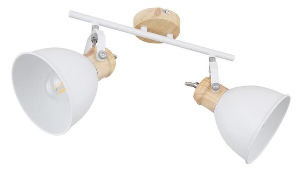 Globo 54018-2 - Прожектор, луна WIHO 2xE27/40W/230V