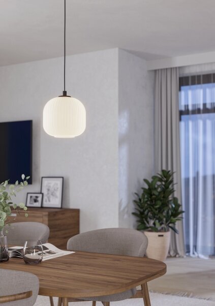 Eglo 99366 - Полилей на въже MANTUNALLE 1xE27/40W/230V