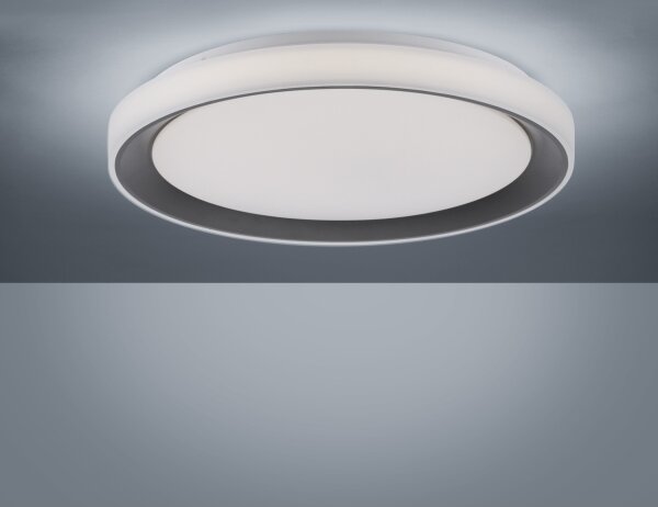 Leuchten Direkt 14659-18 - LED RGB Димируема лампа LOLA LED/24W/230V + д.у