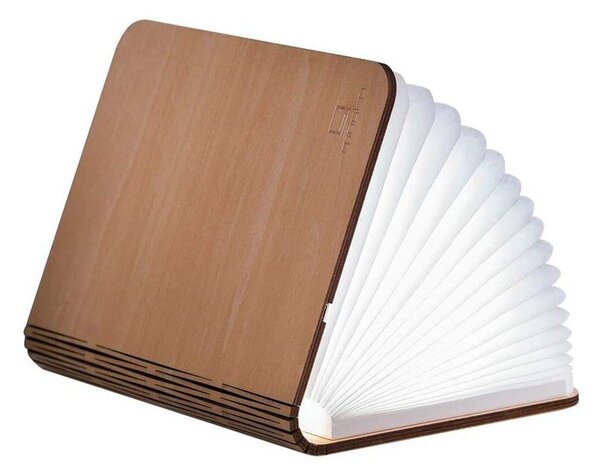 Светлинна декорация с USB в естествен цвят Booklight – Gingko