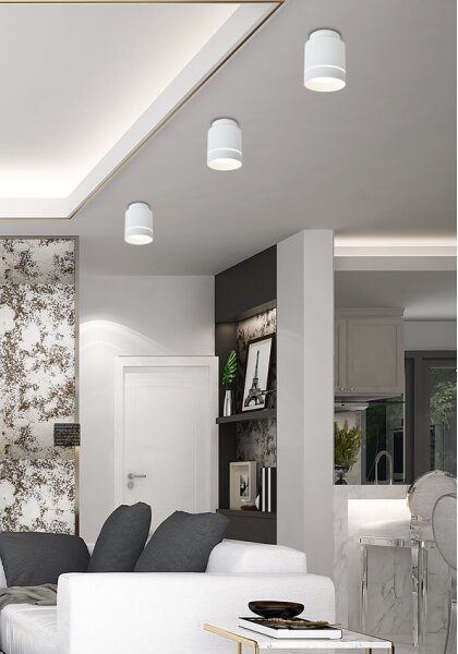 LED Лампа за таван TUBA LED/12W/230V
