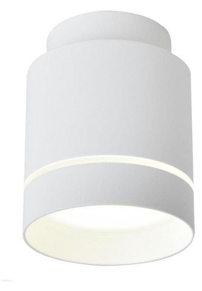 LED Лампа за таван TUBA LED/12W/230V