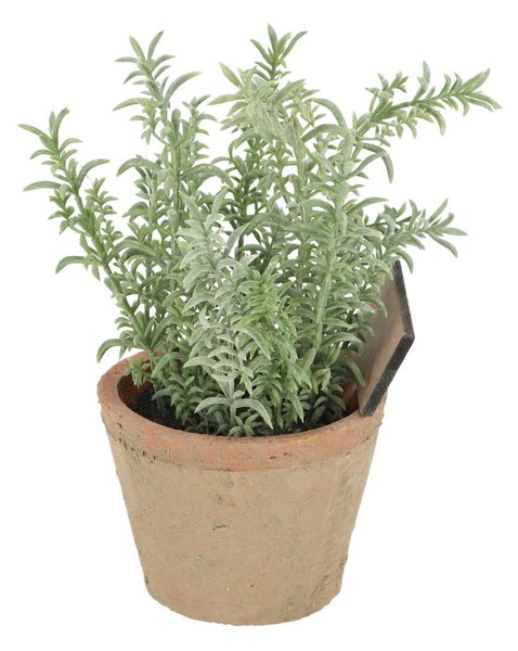 Изкуствено растение (височина 21,5 cm) Thyme – Esschert Design