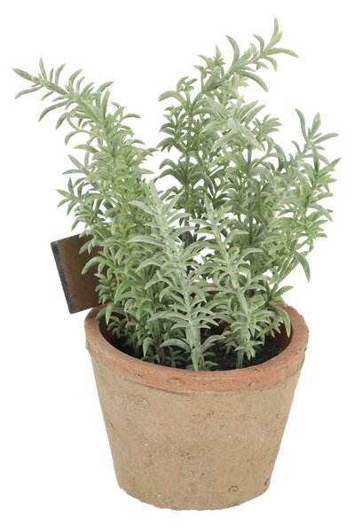 Изкуствено растение (височина 21,5 cm) Thyme – Esschert Design