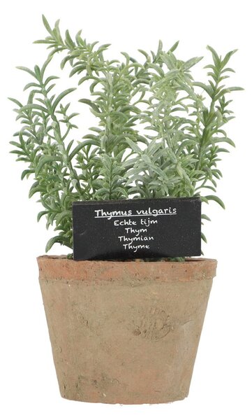 Изкуствено растение (височина 21,5 cm) Thyme – Esschert Design