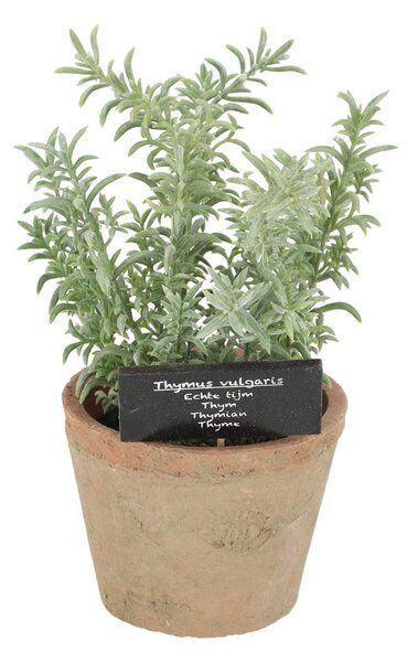 Изкуствено растение (височина 21,5 cm) Thyme – Esschert Design