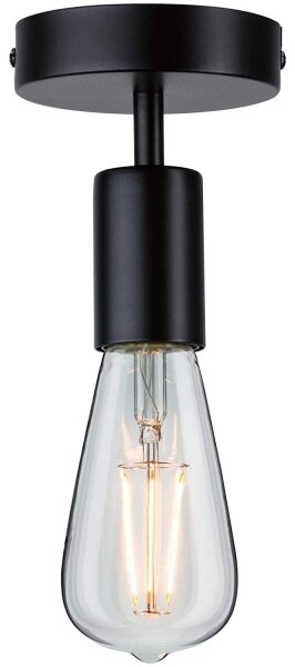 Paulmann 79760 - Таванна лампа HALDOR 1xE27/20W/230V