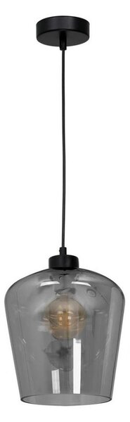 Висящ полилей SANTIAGO 1xE27/60W/230V черен