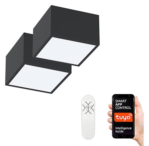 Immax Neo 07074L-15BD-К-кт 2x LED Димируема лампа CANTO 2xLED/12W/230V + д.у