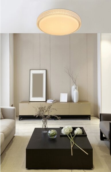 Globo 41749-22 - LED Плафониера OVI LED/22W/230V