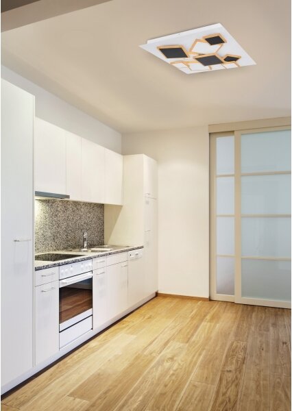 Globo 48290-50 - LED Димируем плафон RABEA LED/50W/230V + д.у