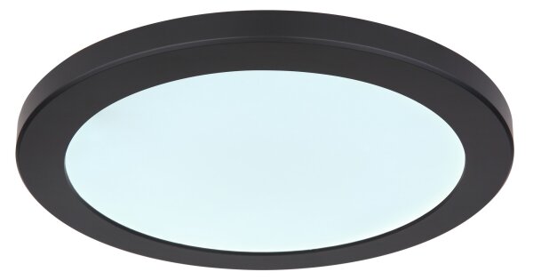 Globo 12379-24B - LED Плафониера LASSE LED/24W/230V