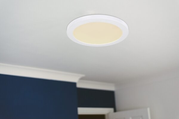 Globo 12379-24W - LED Плафониера LASSE LED/24W/230V