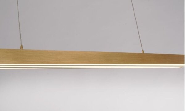 Paul Neuhaus 2568-60 - LED Димируем пендел ADRIANA LED/14W/230V месинг
