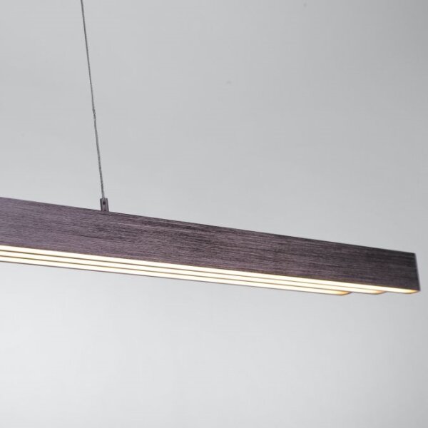 Paul Neuhaus 2568-24 - LED Димируем пендел ADRIANA LED/14W/230V
