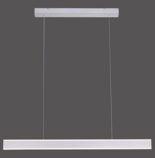 Paul Neuhaus 8363-55 - LED Димируем полилей със сензор ARINA LED/20W/230V