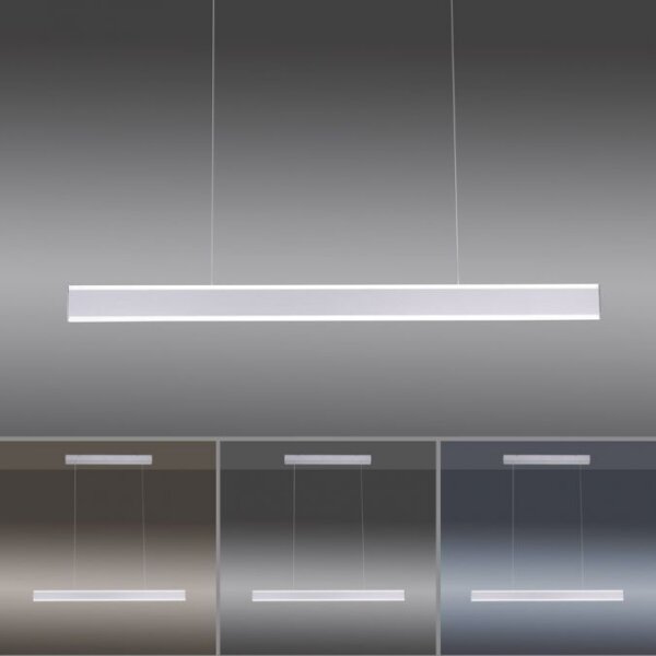 Paul Neuhaus 8363-55 - LED Димируем полилей със сензор ARINA LED/20W/230V