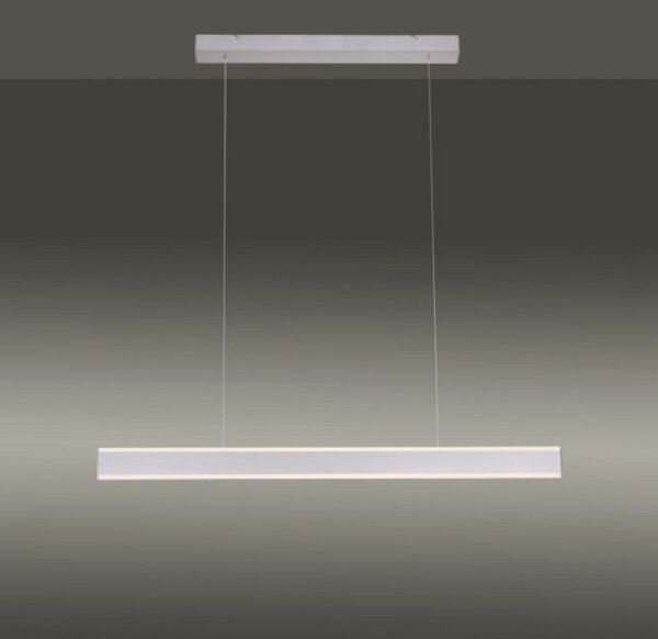 Paul Neuhaus 8363-55 - LED Димируем полилей със сензор ARINA LED/20W/230V