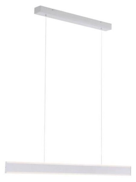 Paul Neuhaus 8363-55 - LED Димируем полилей със сензор ARINA LED/20W/230V