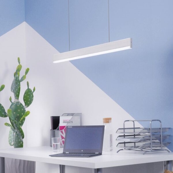 Paul Neuhaus 8363-55 - LED Димируем полилей със сензор ARINA LED/20W/230V