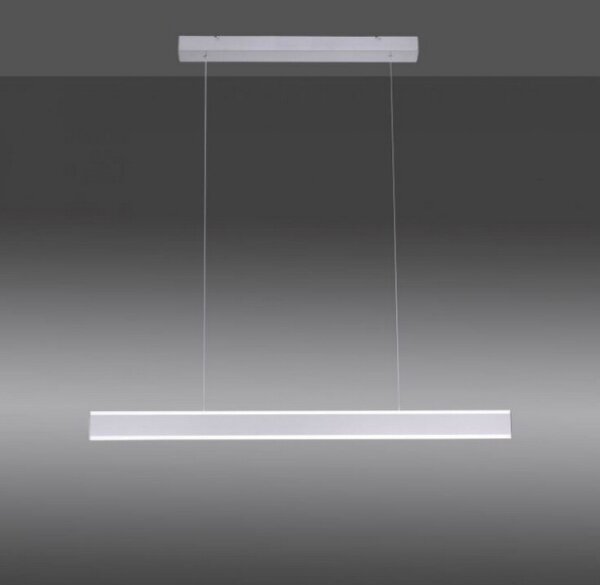 Paul Neuhaus 8363-55 - LED Димируем полилей със сензор ARINA LED/20W/230V