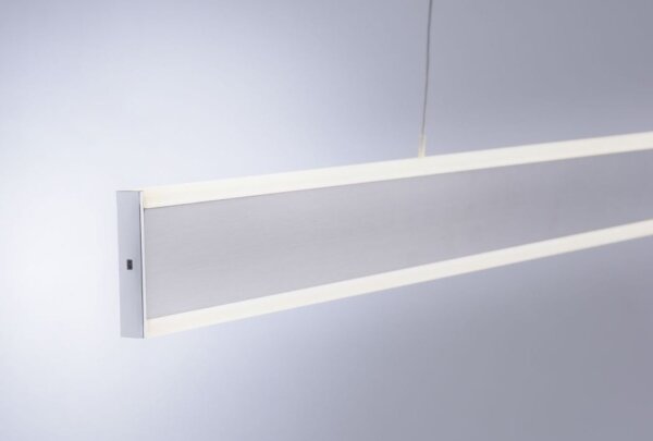 Paul Neuhaus 8363-55 - LED Димируем полилей със сензор ARINA LED/20W/230V