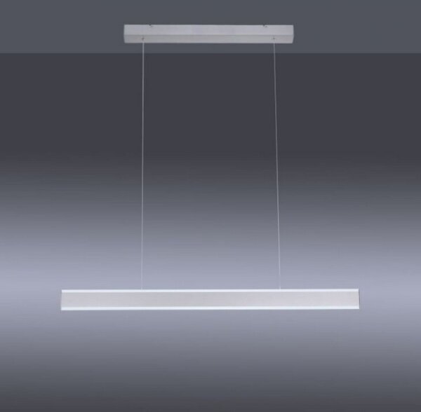 Paul Neuhaus 8363-55 - LED Димируем полилей със сензор ARINA LED/20W/230V