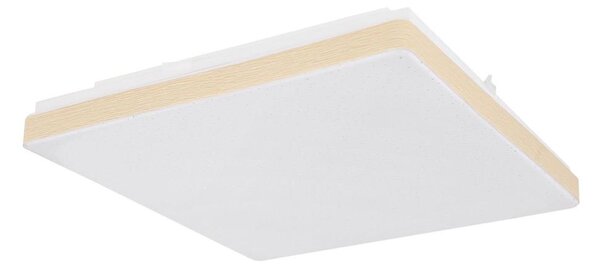 Globo 48296W - LED Лампа RAINA LED/12W/230V