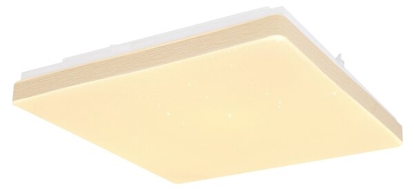 Globo 48296W - LED Лампа RAINA LED/12W/230V