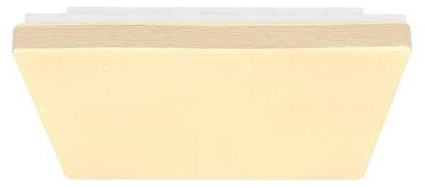 Globo 48296W - LED Лампа RAINA LED/12W/230V