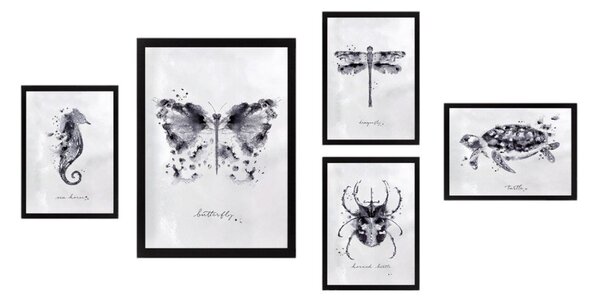 Картини в комплект от 5 бр. Butterfly - Wallity